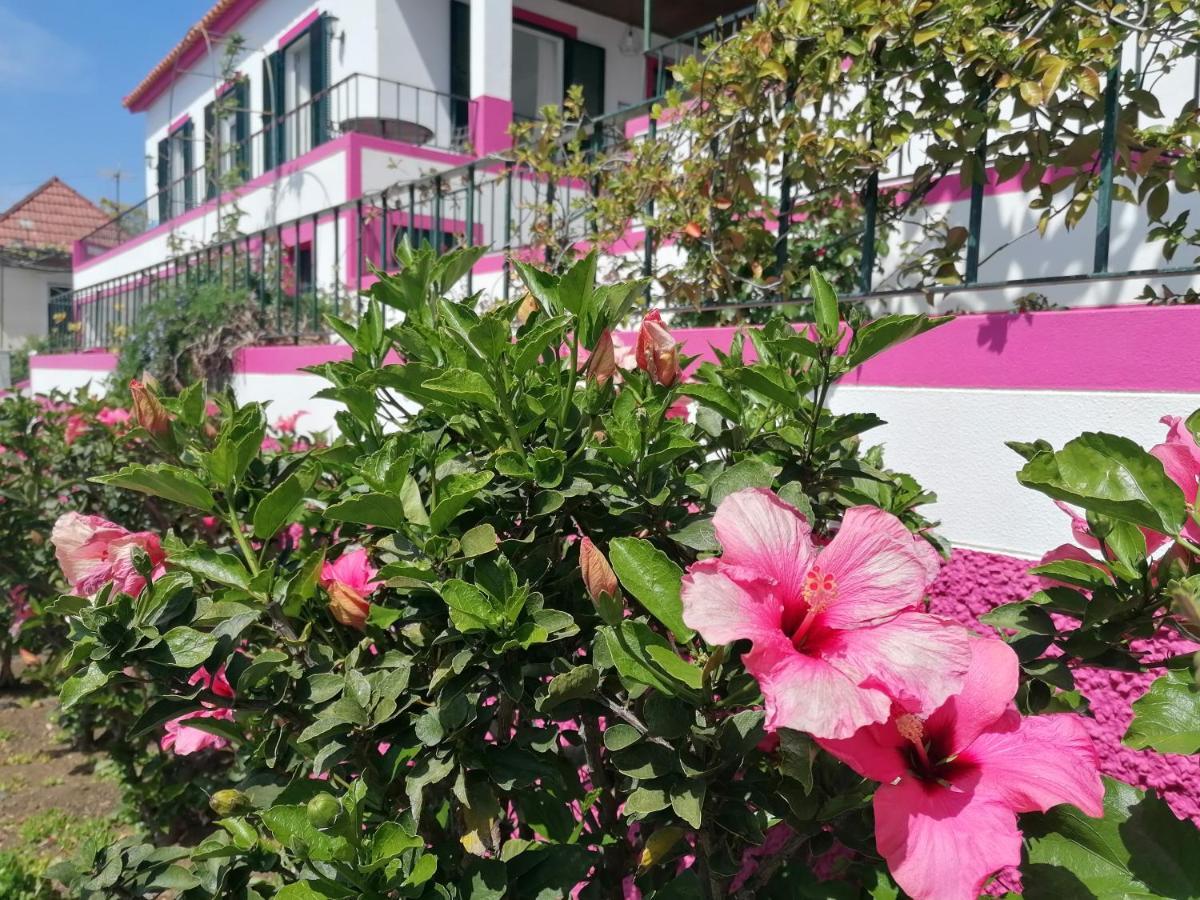 Westerland House Ribeira Brava Luaran gambar