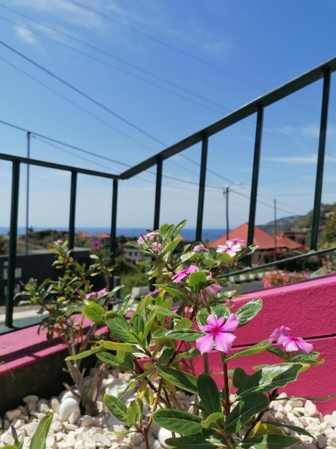 Westerland House Ribeira Brava Luaran gambar